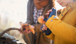 gifts for mushroom hunters