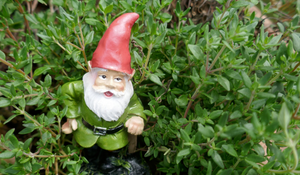 gnome gifts