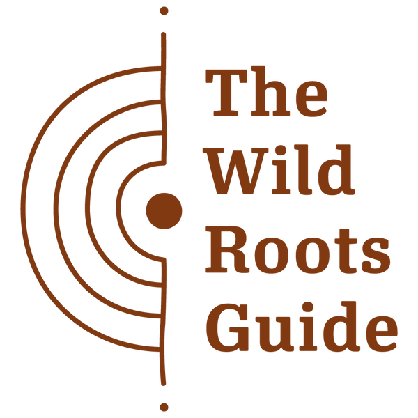 Spotlight: Sanne Giesen of The Wild Roots Guide