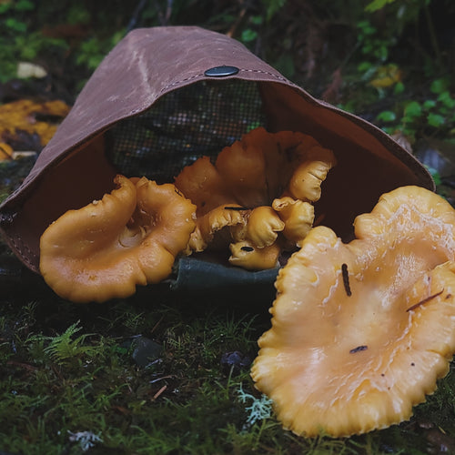 Mushroom Foraging Pouch, Hip Bag
