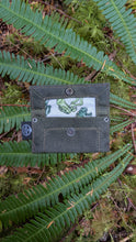 Waxed Canvas Tiny Pouch for Dice, Fire Kits or Wallet