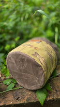 Fresh Water Fish Medium Cedar Bucket Bag