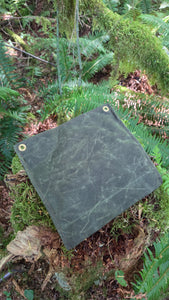 Dark green pouch on a bed of moss and ferns