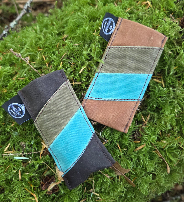 Two striped pocketknife slips patches on a green moss background